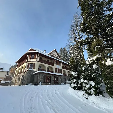 Gorski W Poblizu Wyciagow Отель типа 