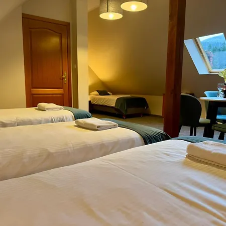 Gorski W Poblizu Wyciagow 3* Карпач